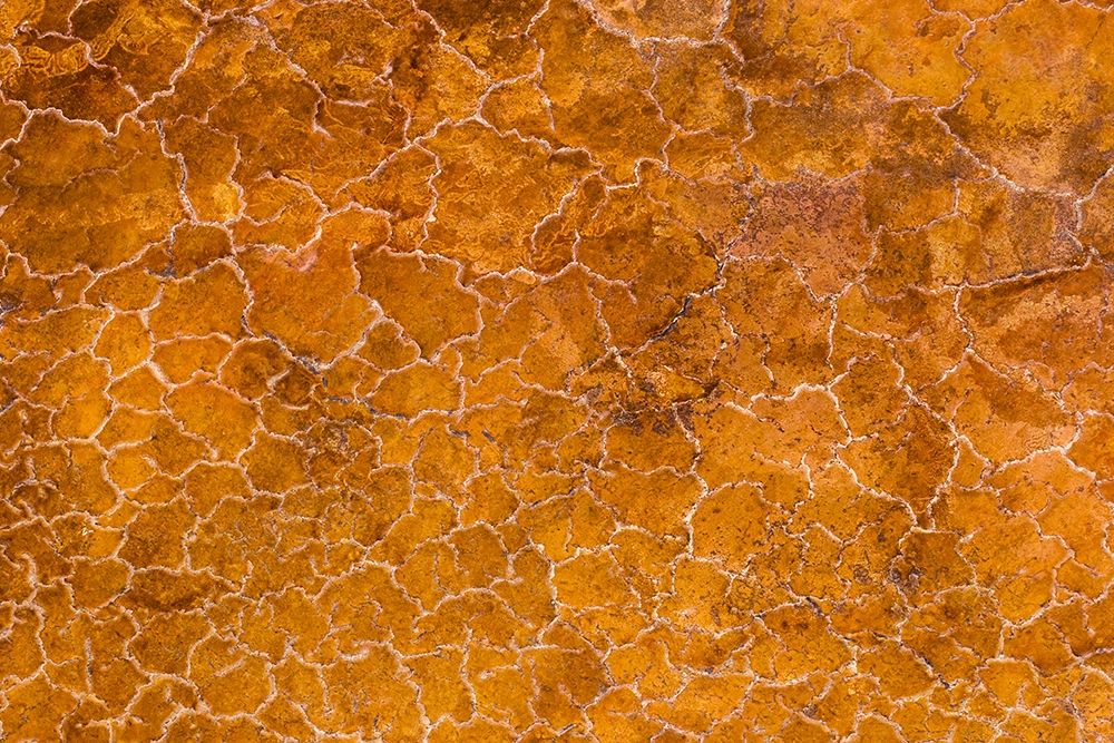 Africa-Tanzania-Aerial view of patterns of yellow algae and salt formations in shallow salt waters art print by Paul Souders for $57.95 CAD